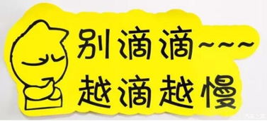 實(shí)習(xí)車(chē)上路 真的可怕嗎？解析馬路上的“隱形警報(bào)”與汽車(chē)陪駕服務(wù)